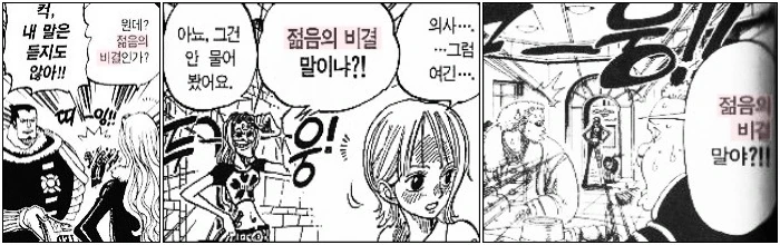 원피스) 작 중 미녀 설정의 여자 캐릭터들이 꼭 배워야 하는 것