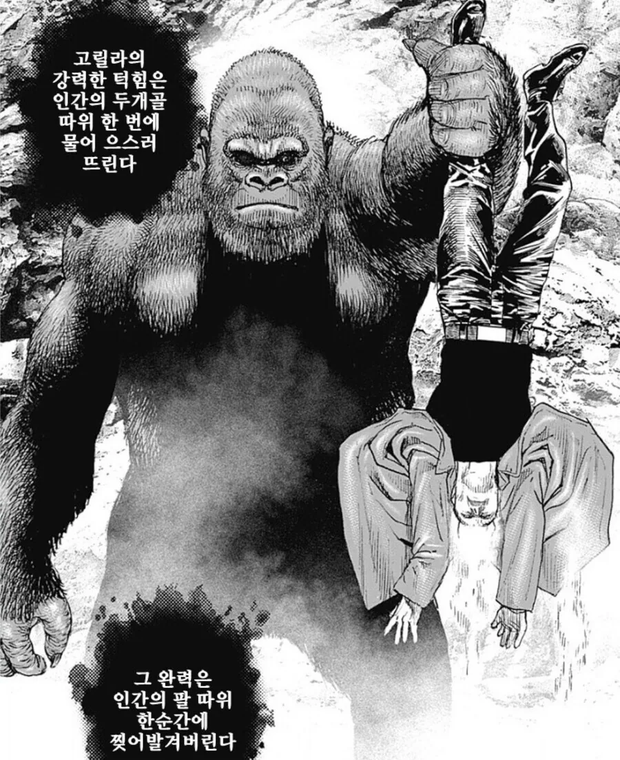 격투만화에서 날고 기어도 안되는 것.jpg - 이미지 4