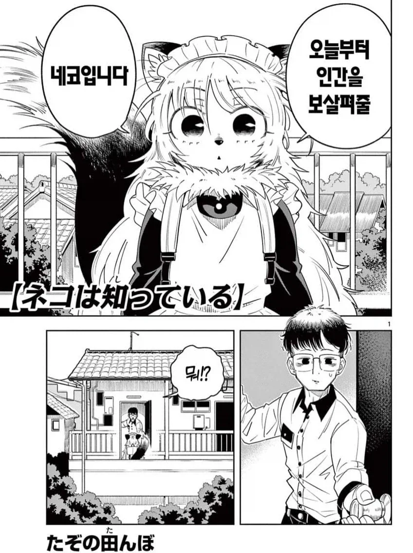 고양이 메이드 네코 manwha