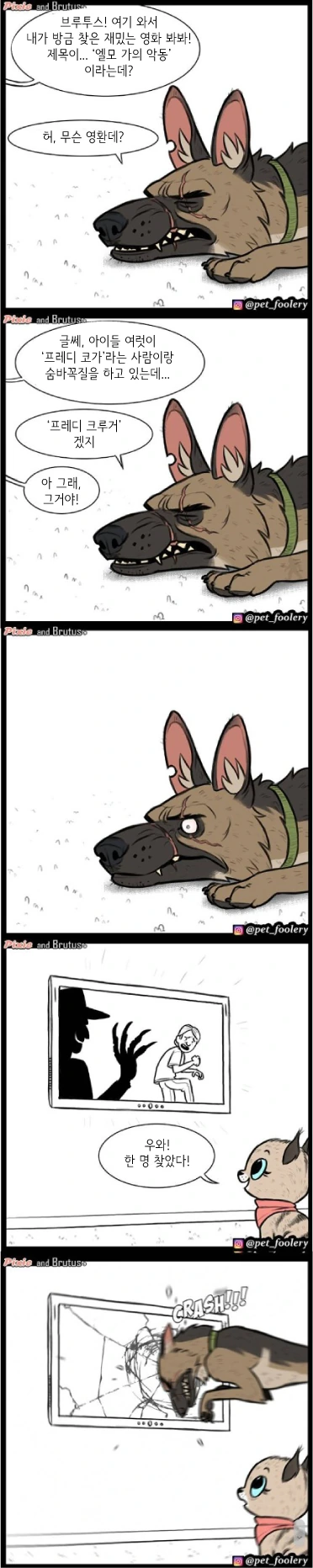 은퇴한 군견과 새끼 고양이.manwha