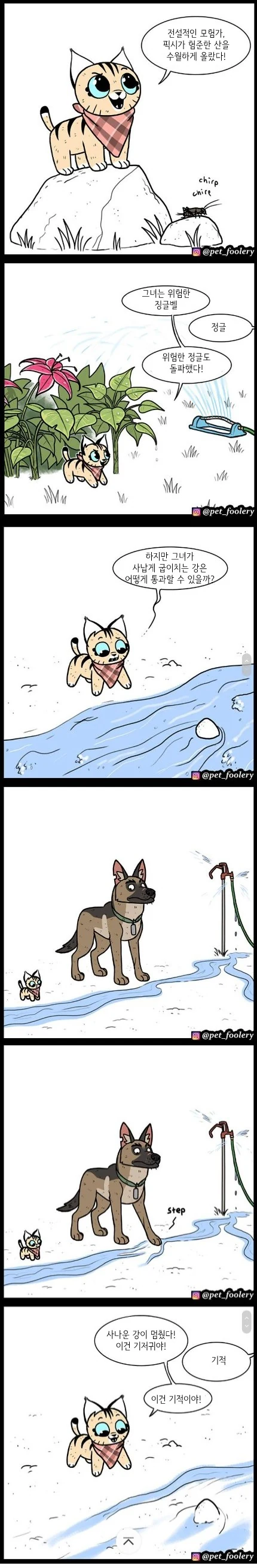 은퇴한 군견과 새끼 고양이.manwha - 이미지 2