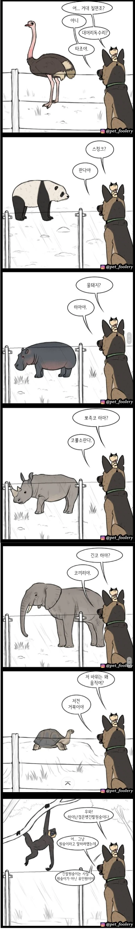 은퇴한 군견과 새끼 고양이.manwha - 이미지 3