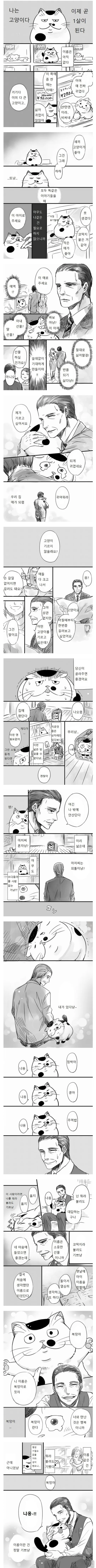 못생긴 고양이 만화