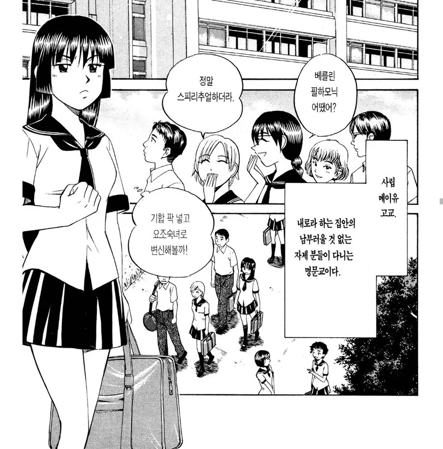 어느 만화속 명문고의 고등학생 특징