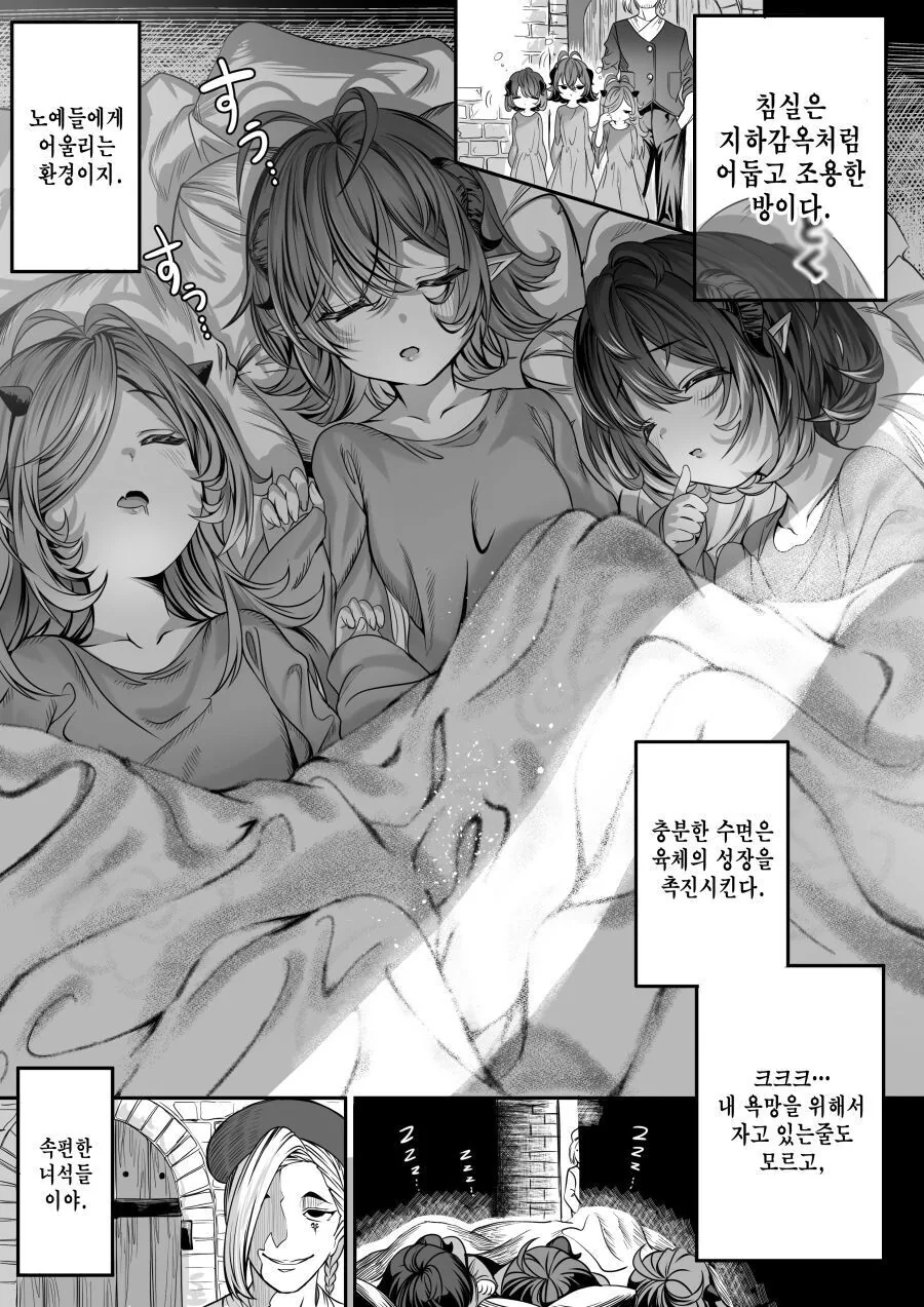 변태 귀족이 ㅅㅇ을 위해 ㄴㅇ 사오는 manga - 이미지 3