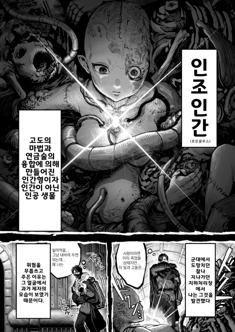 호문쿨루스를 주웠다.manhwa