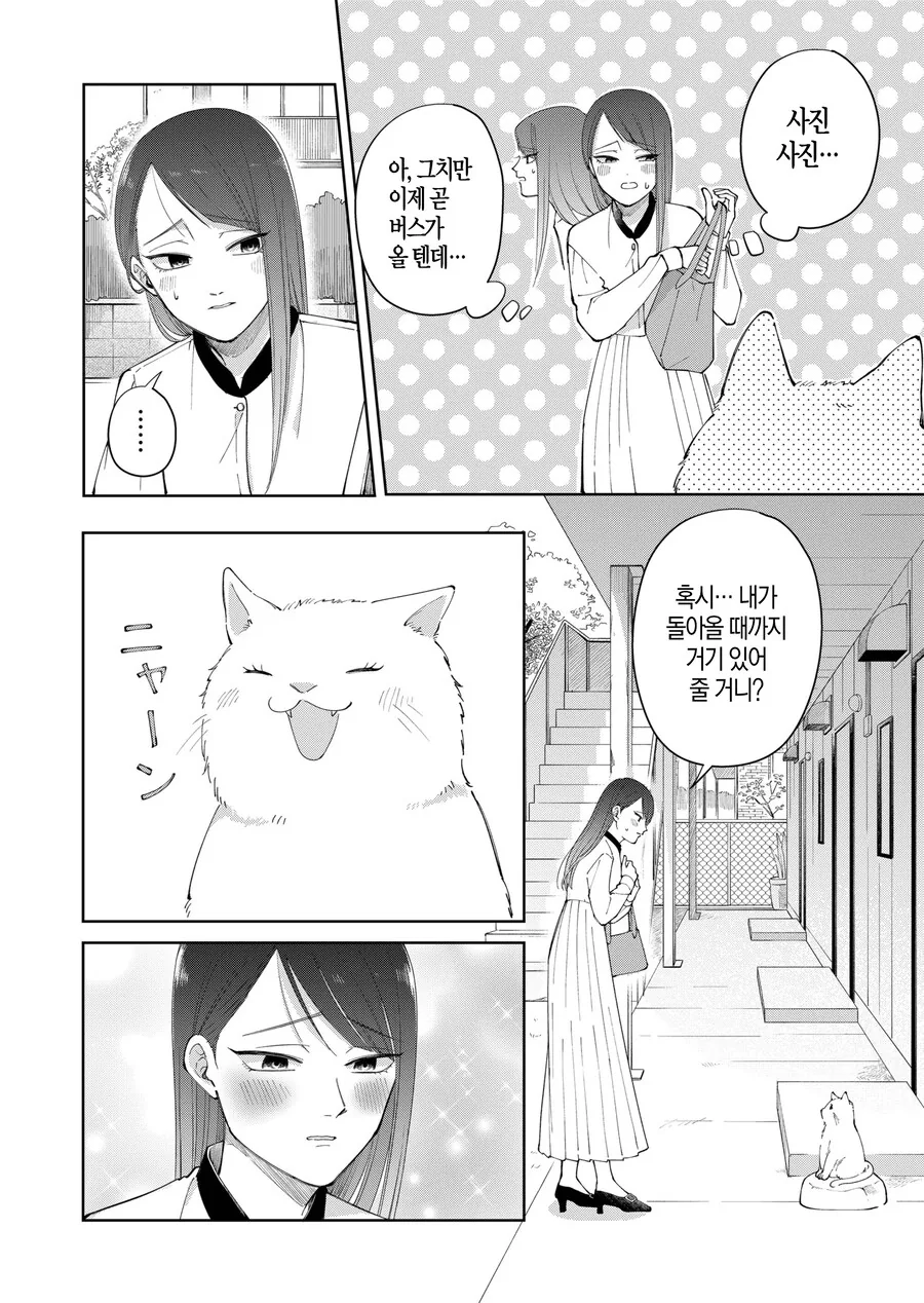 고양이가 있을지 내기하는 만화.manga - 이미지 2