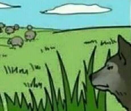 늑대의 본능.manhwa