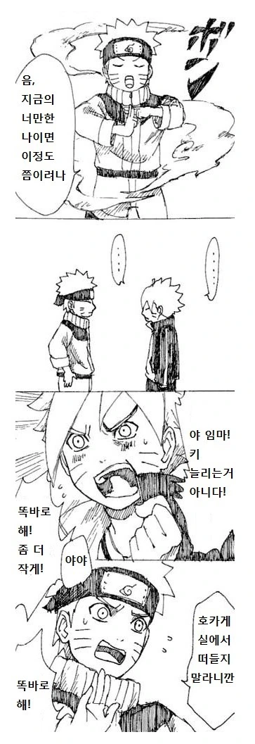 (보루토)히와마리가 만들어진 날.manga - 이미지 2