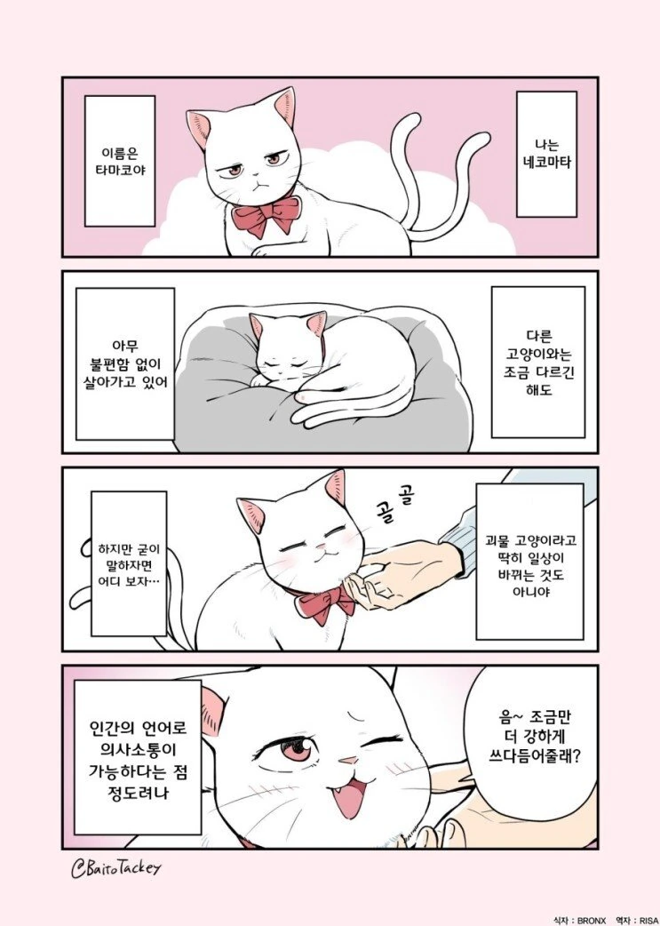 꼬리 두개 달린 고양이.manhwa