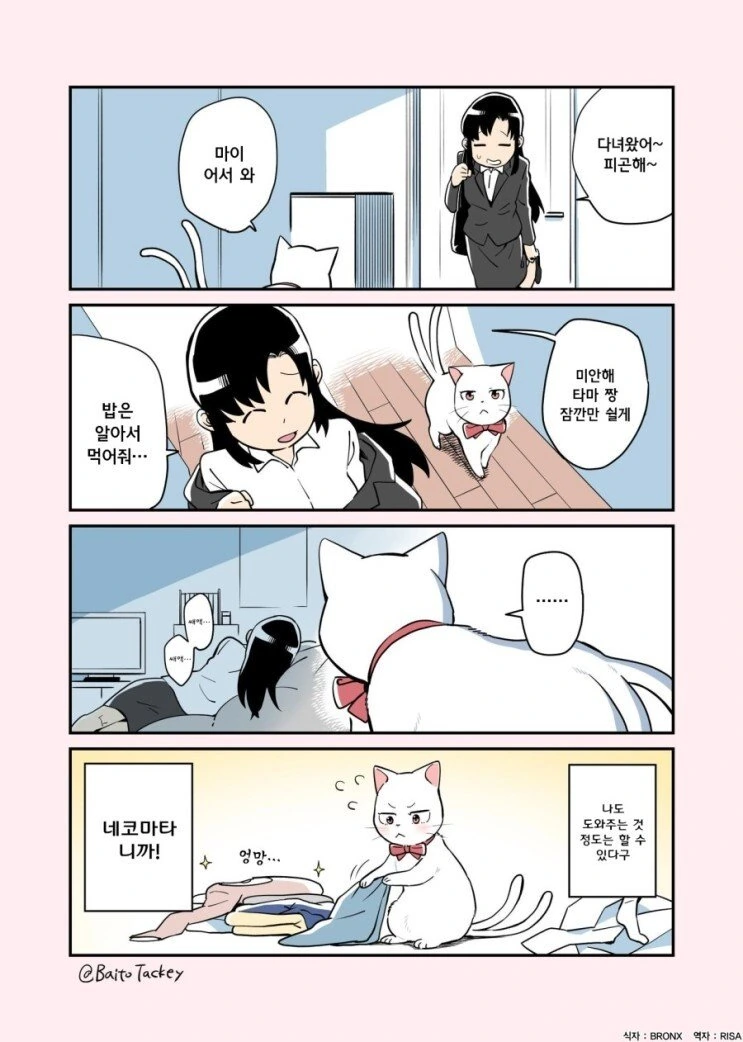 꼬리 두개 달린 고양이.manhwa - 이미지 4
