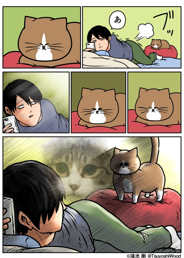집사를 죽이겠다는 고양이 만화