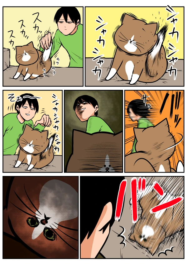 집사를 죽이겠다는 고양이 만화 - 이미지 2