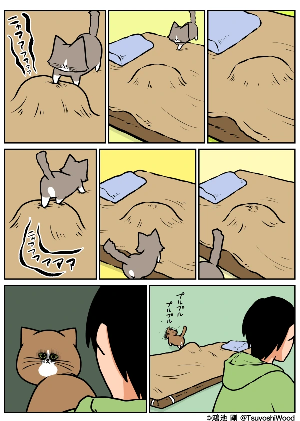 집사를 죽이겠다는 고양이 만화 - 이미지 3
