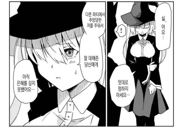 용사 파티에서 안억울하게 추방당한 미소녀 마법사 만화.manwha - 이미지 4