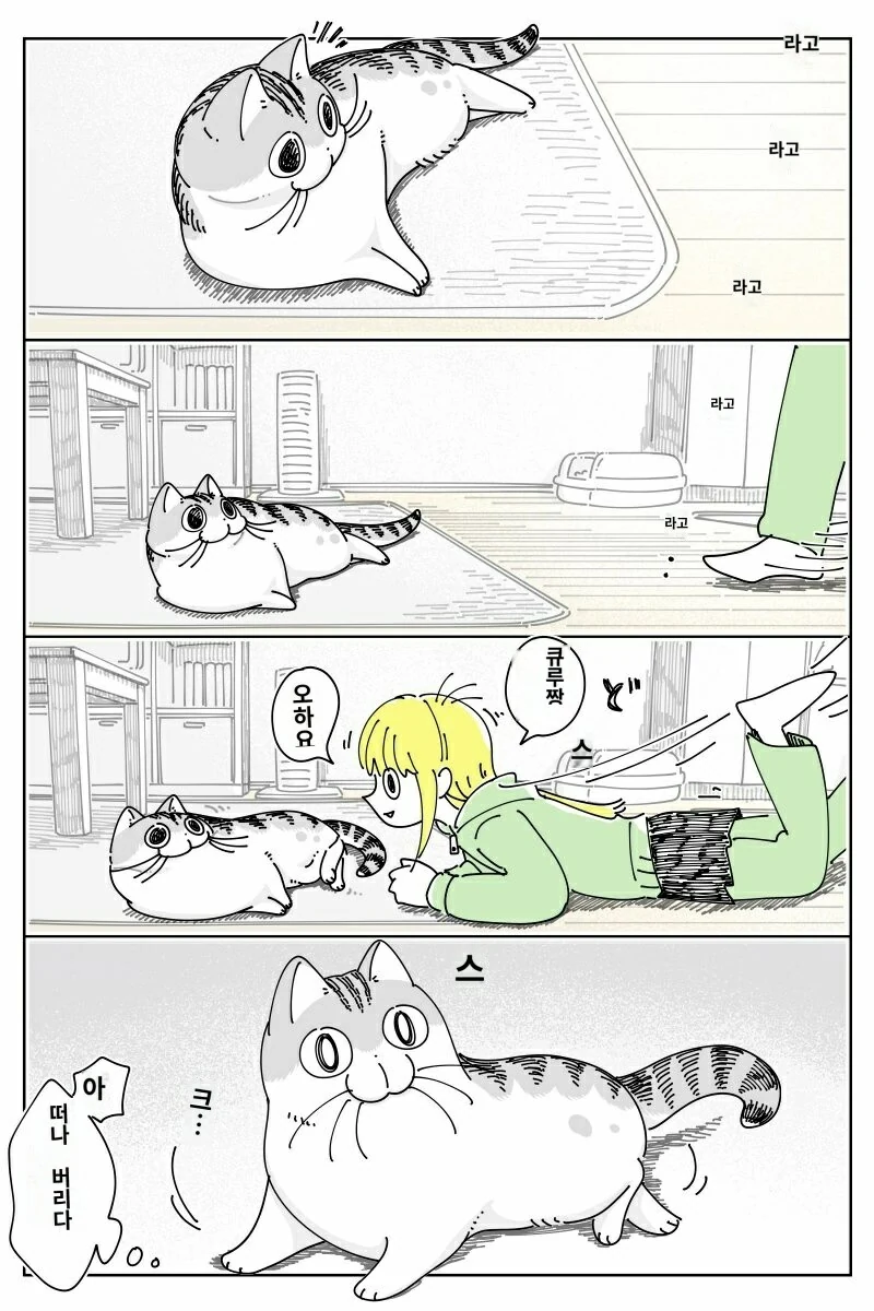 나이먹고 만사가 귀찮아진 고양이