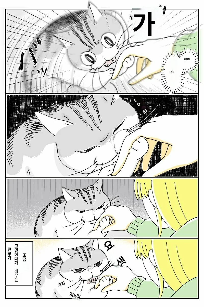 나이먹고 만사가 귀찮아진 고양이 - 이미지 3