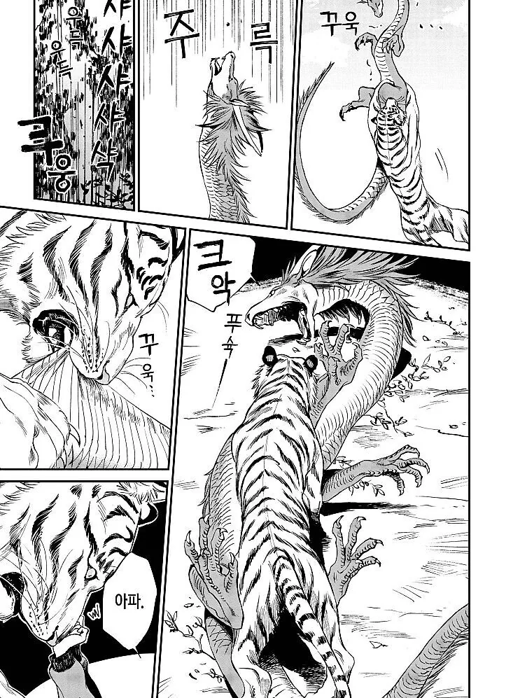고대로부터 호랑이가 용의 천적으로 나타난 이유.manga
