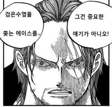 진짜 원피스 만화 - 이미지 6