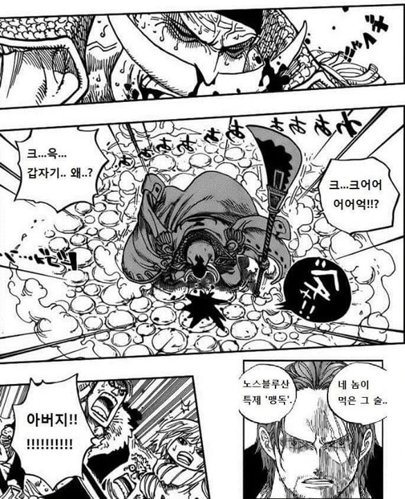 진짜 원피스 만화 - 이미지 8