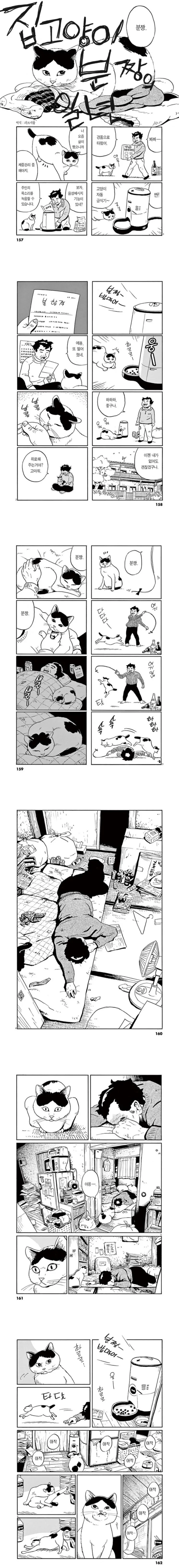집고양이가 1년을 보내는 만화.manga
