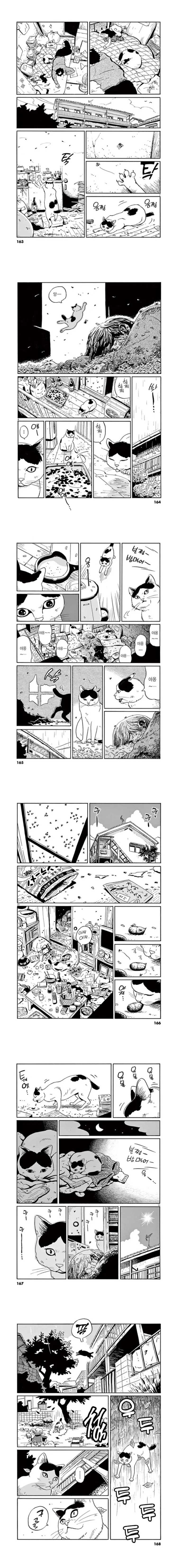 집고양이가 1년을 보내는 만화.manga - 이미지 2