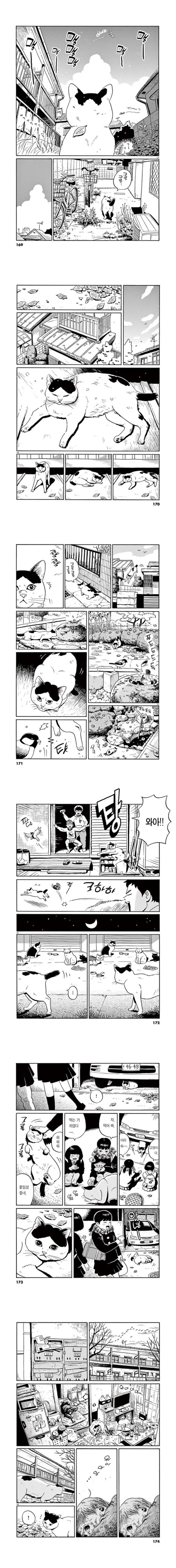 집고양이가 1년을 보내는 만화.manga - 이미지 3