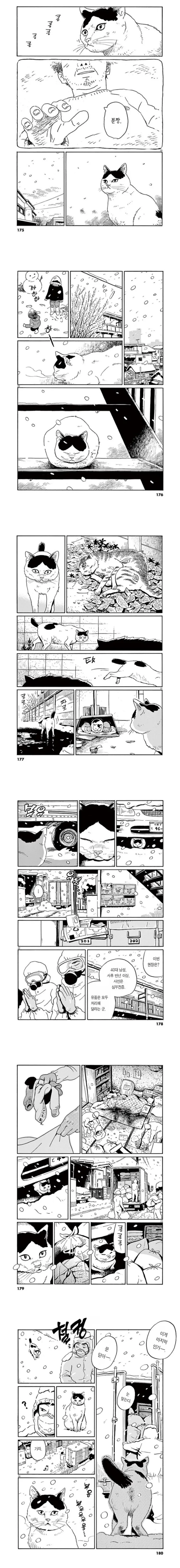 집고양이가 1년을 보내는 만화.manga - 이미지 4