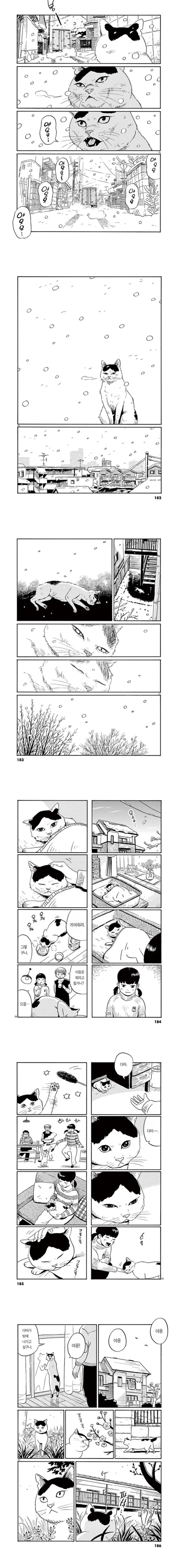 집고양이가 1년을 보내는 만화.manga - 이미지 5