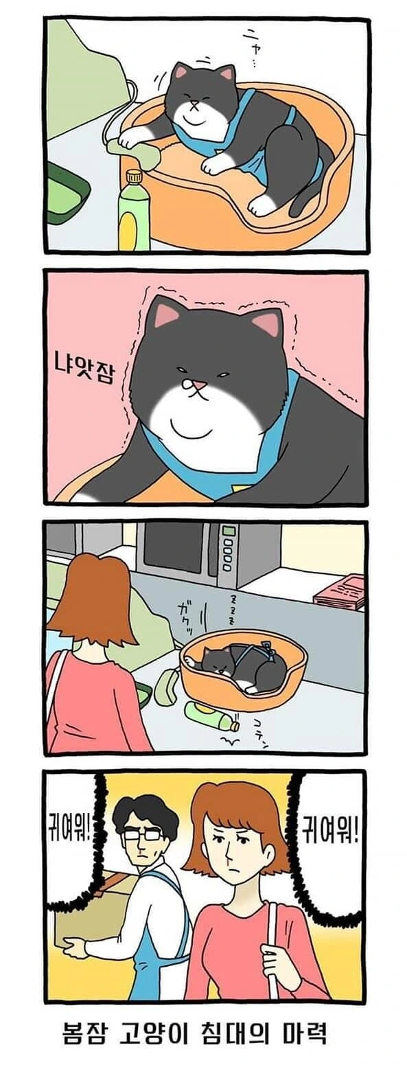 고양이가 편의점 알바하는 만화 - 이미지 6
