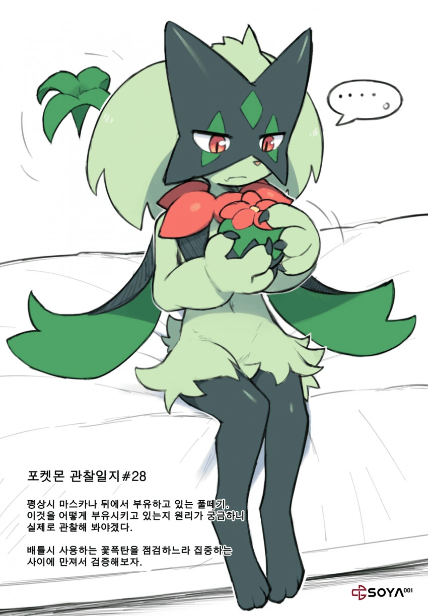 포켓몬) 마스카나 관찰하는 만화