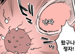 ㅎㅂ) 임신 당하기 싫어하는데 강제로 착상.....만화,,