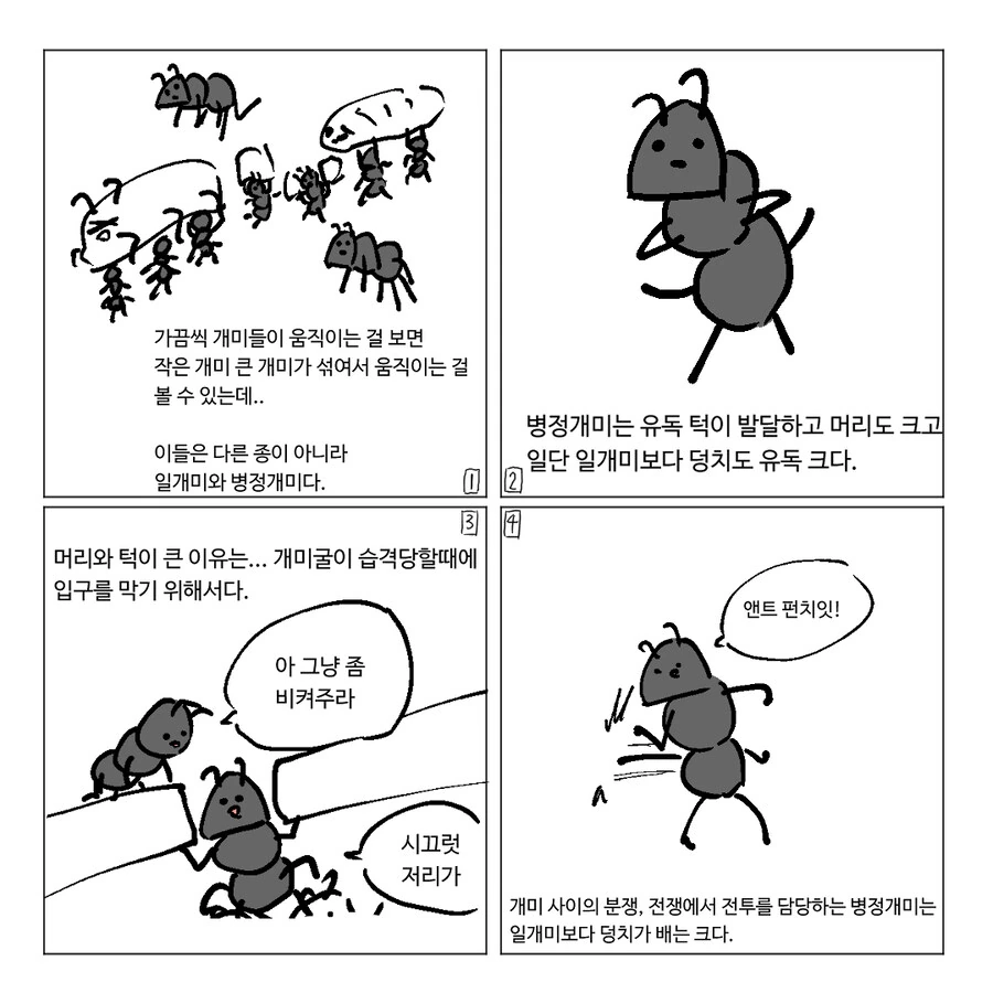 개미 전쟁하는 만화.Manhwa - 이미지 2