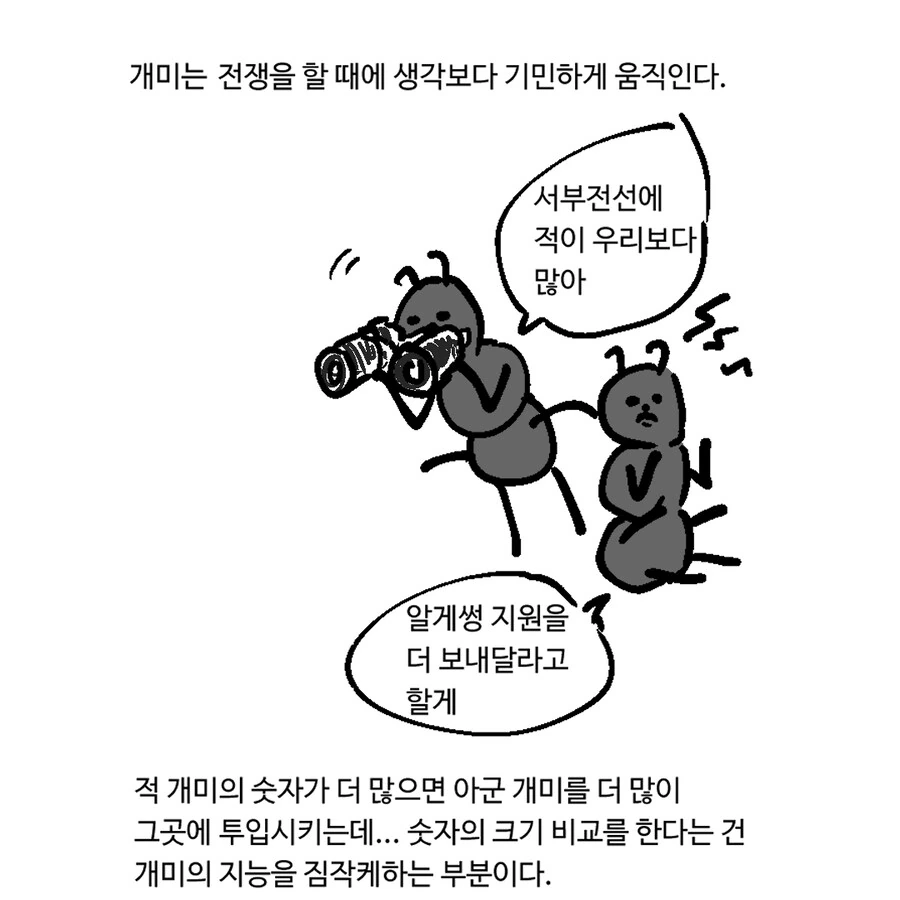 개미 전쟁하는 만화.Manhwa - 이미지 4