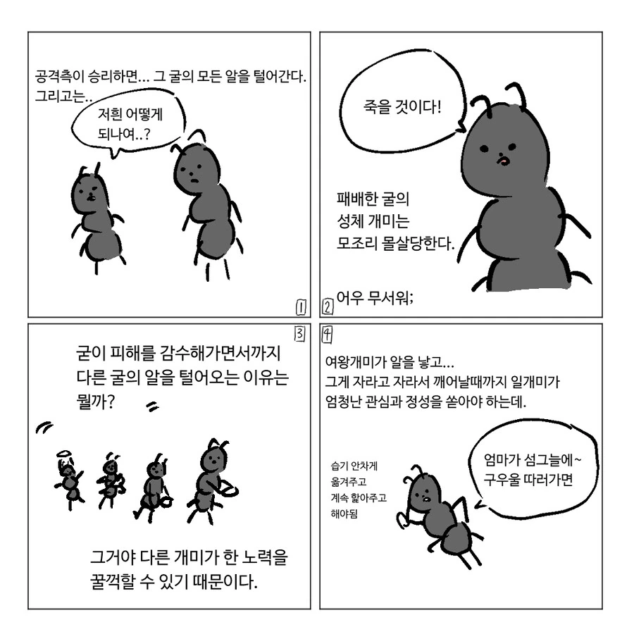 개미 전쟁하는 만화.Manhwa - 이미지 6