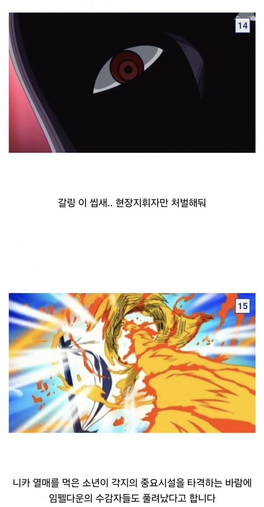 원피스) 이무의 오로성 업무 보고 타임라인 - 이미지 11