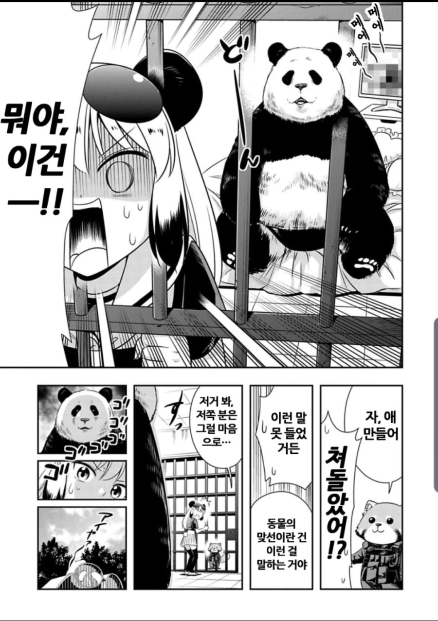 강제로manhwa - 이미지 2
