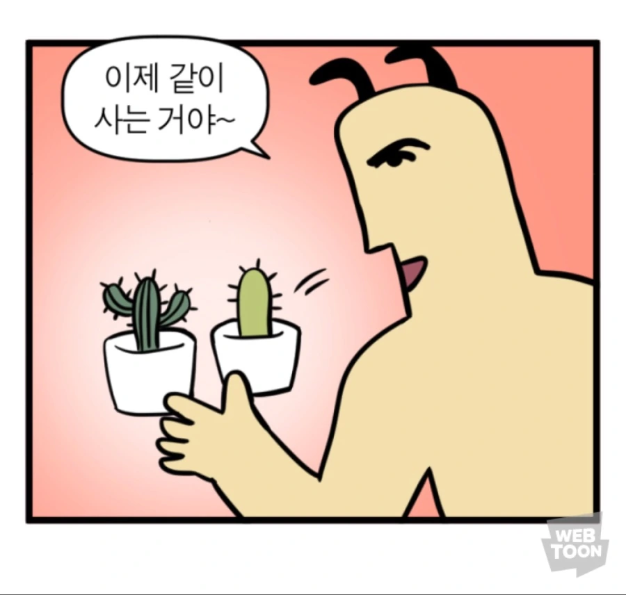 선인장을 산 manhwa - 이미지 3