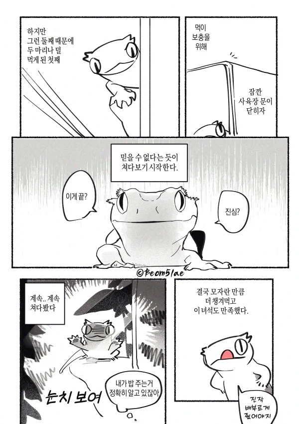 도마뱀 키우는 만화 - 이미지 4