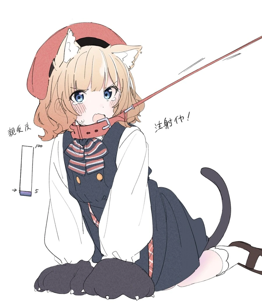 @) 친애도 5 모모코 냥이