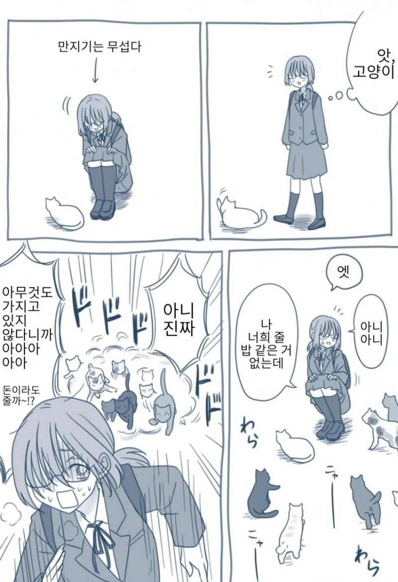 고양이들한테 인기 많은 만화