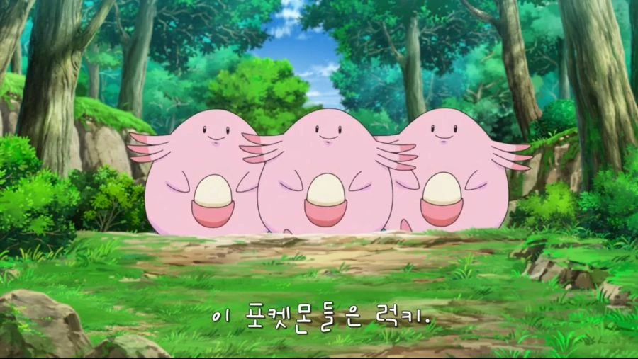 포켓몬]무료 급식소