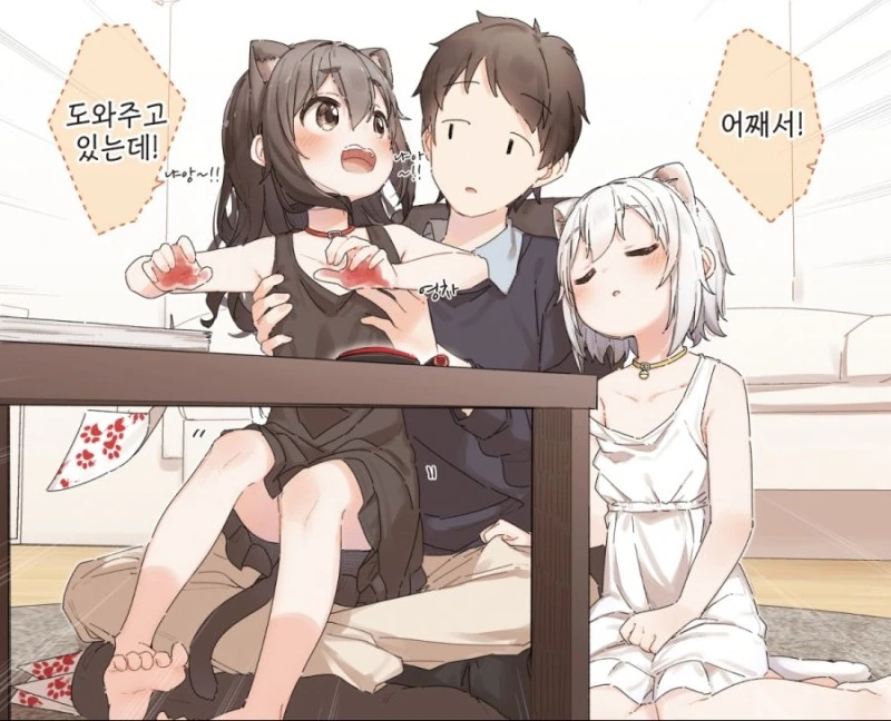 하얀 고양이와 검은 고양이.manhwa - 이미지 5