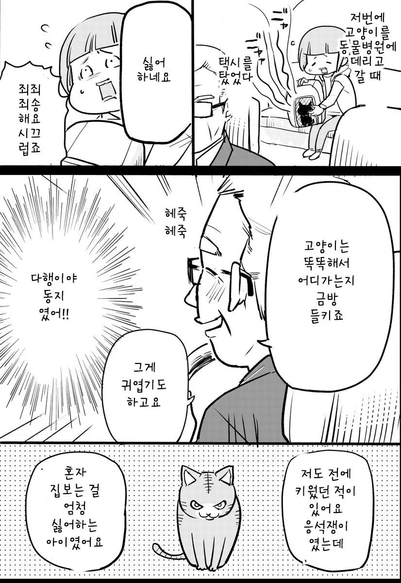 고양이 데리고 택시 탄 만화