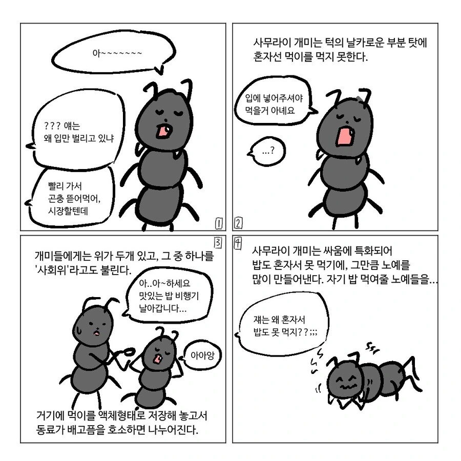 개미개미 이야기.Manhwa - 이미지 5