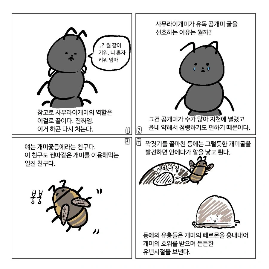개미개미 이야기.Manhwa - 이미지 8