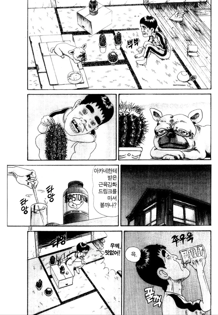 [괴짜가족]선인장과 대결하는 이소룡 선생 - 이미지 7