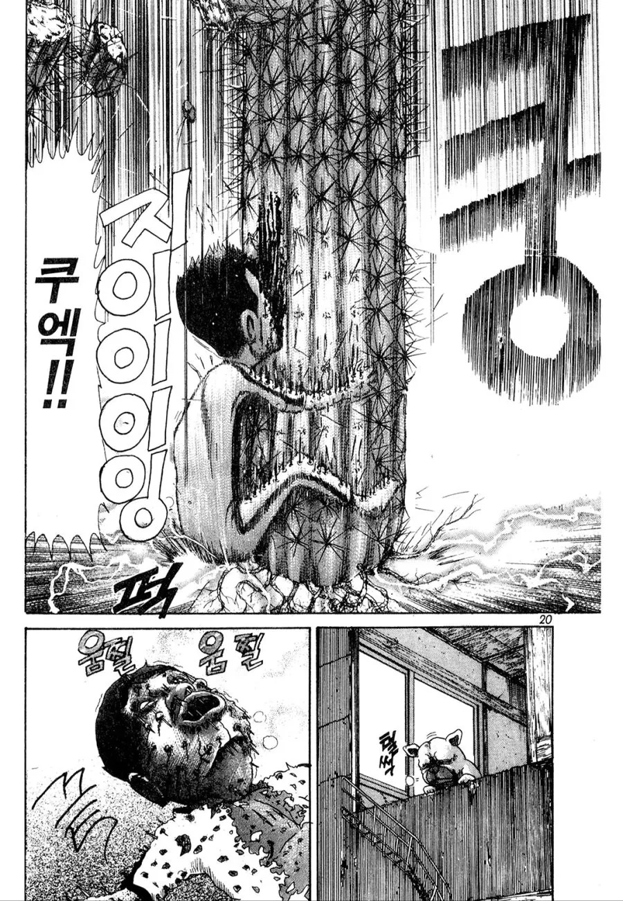 [괴짜가족]선인장과 대결하는 이소룡 선생 - 이미지 12