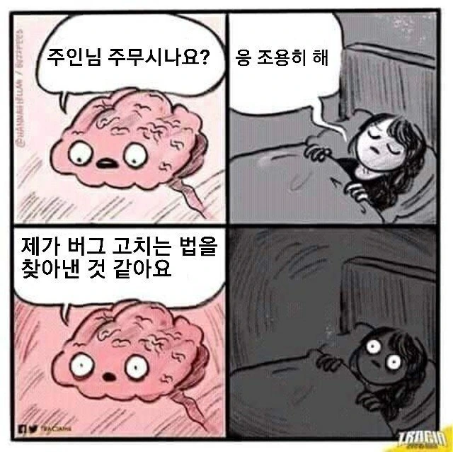 프로그래머 만화