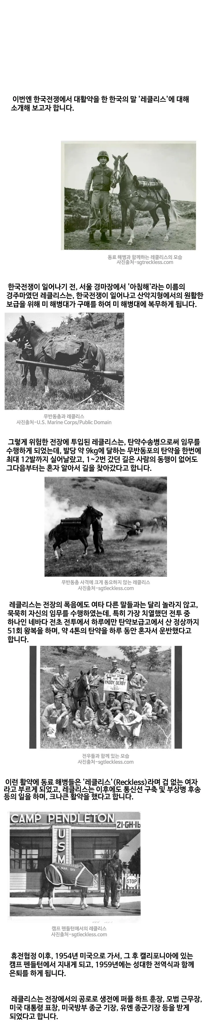 네발 달린 해병 말딸.manhwa - 이미지 5